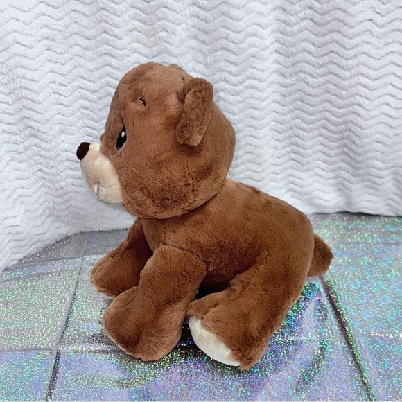 Aurora Precious Moments Charlie Bear So Beary Sweet Brown Stuffed Animal 12" - Picture 3 of 10